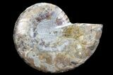Bargain, Agatized Ammonite Fossil (Half) - Madagascar #78589-1